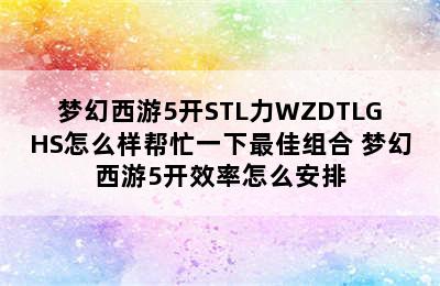 梦幻西游5开STL力WZDTLGHS怎么样帮忙一下最佳组合 梦幻西游5开效率怎么安排